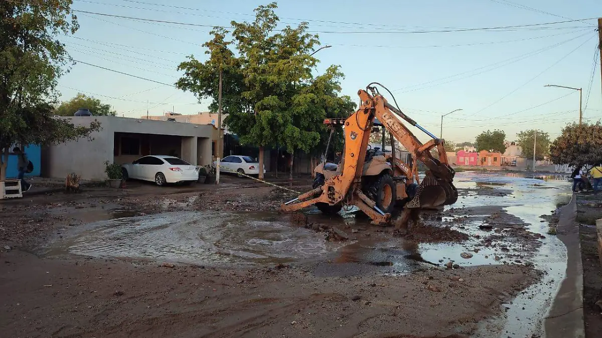 trabajos japac